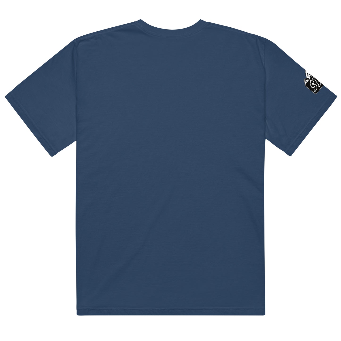 GODS COUNTRY Unisex heavyweight tee